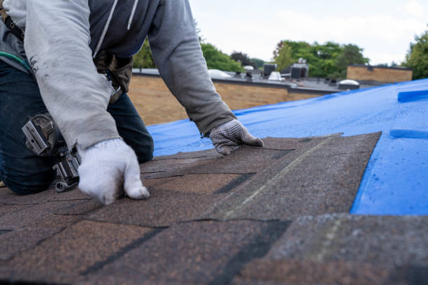 Steel Roofing in Watertown, MN